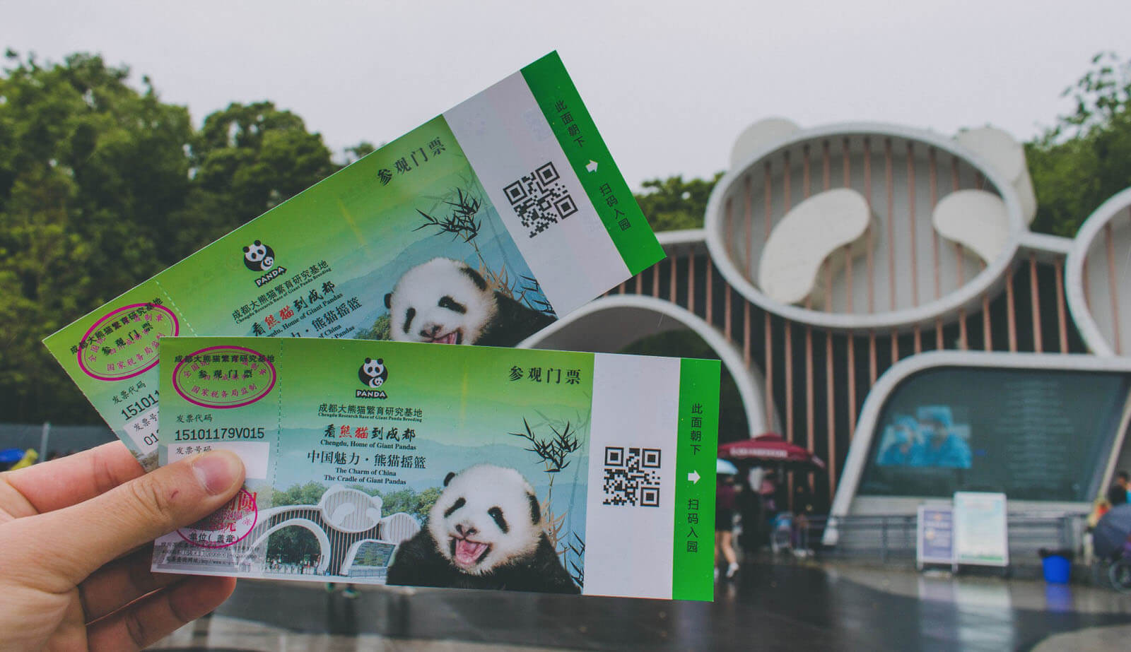 Chengdu Research Base of Giant Panda Breeding Tour