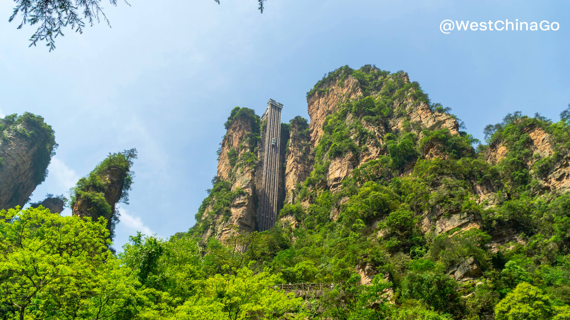 Zhangjiajie National Forest Park - China ChengDu Tours, Chengdu Panda ...