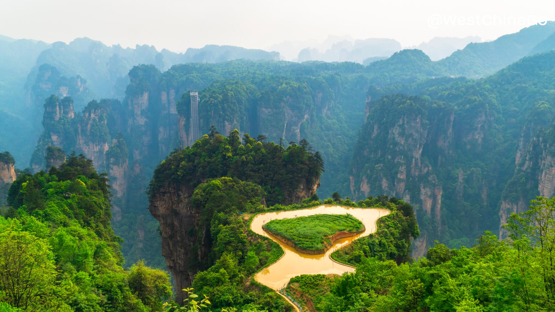 Zhangjiajie National Forest Park - China ChengDu Tours, Chengdu Panda ...