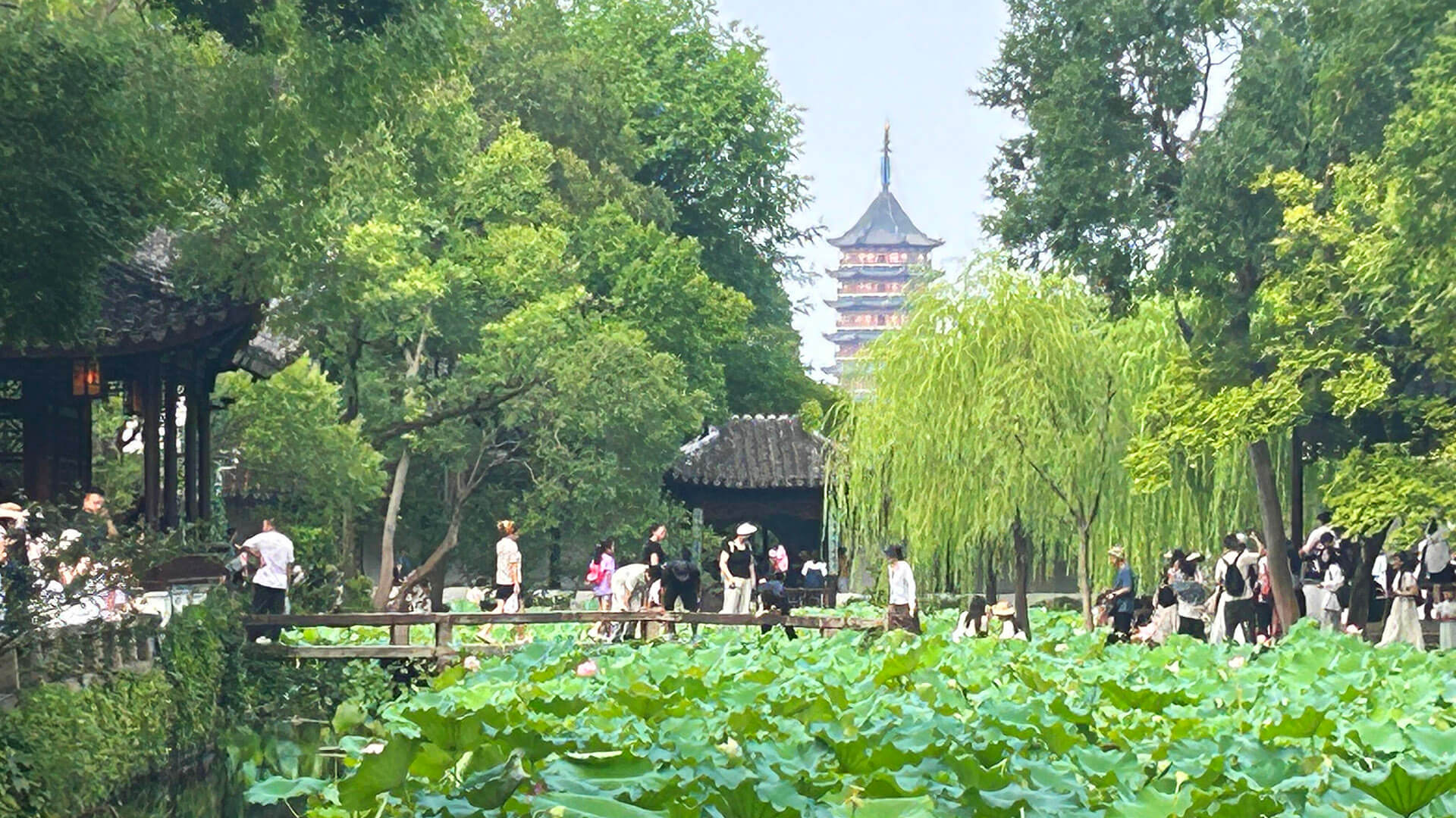 Suzhou The Humble Administrator's Garden