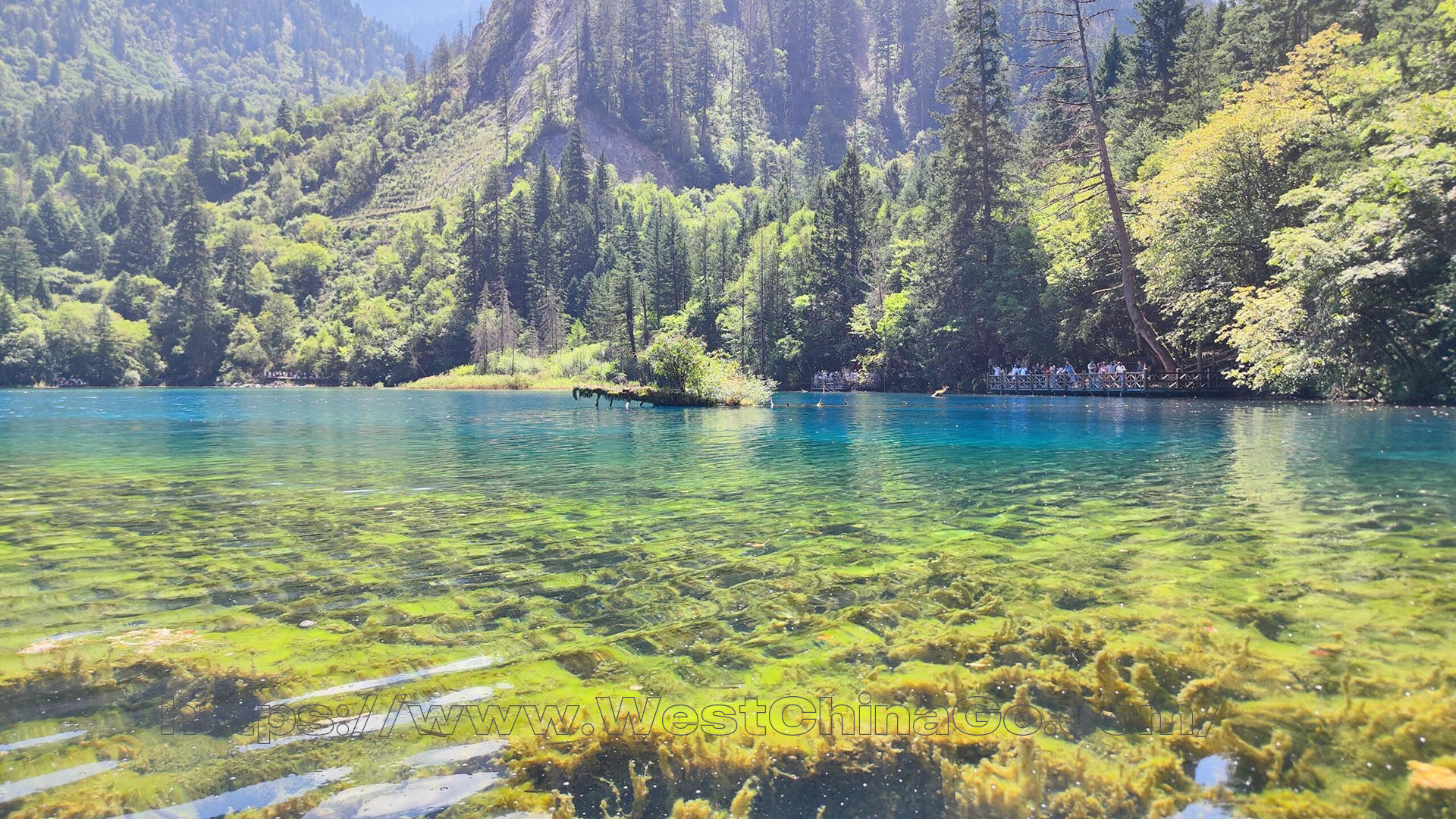 Jiuzhaigou