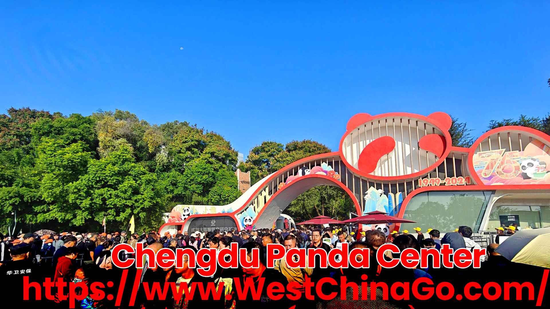 Chengdu Panda Tour