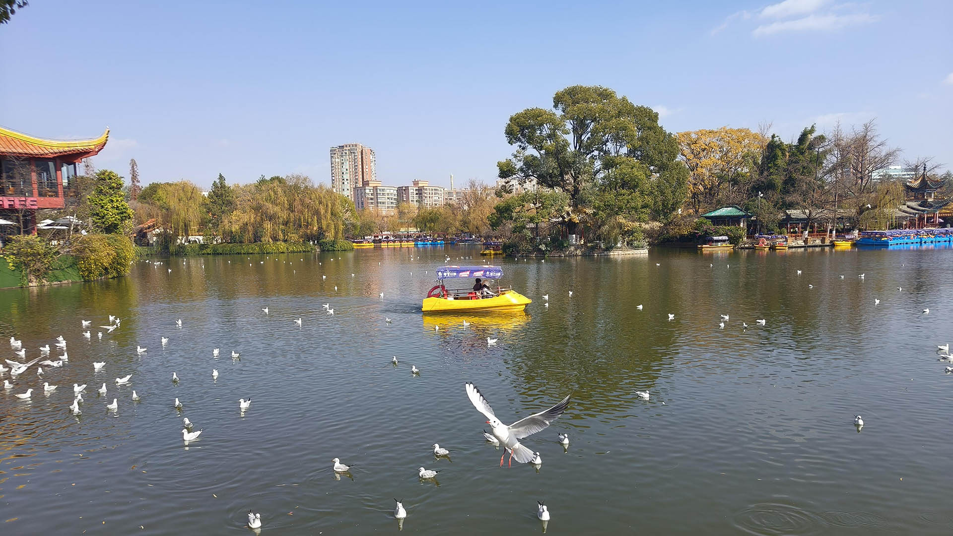 Yunnan Kunming Cuihu Park