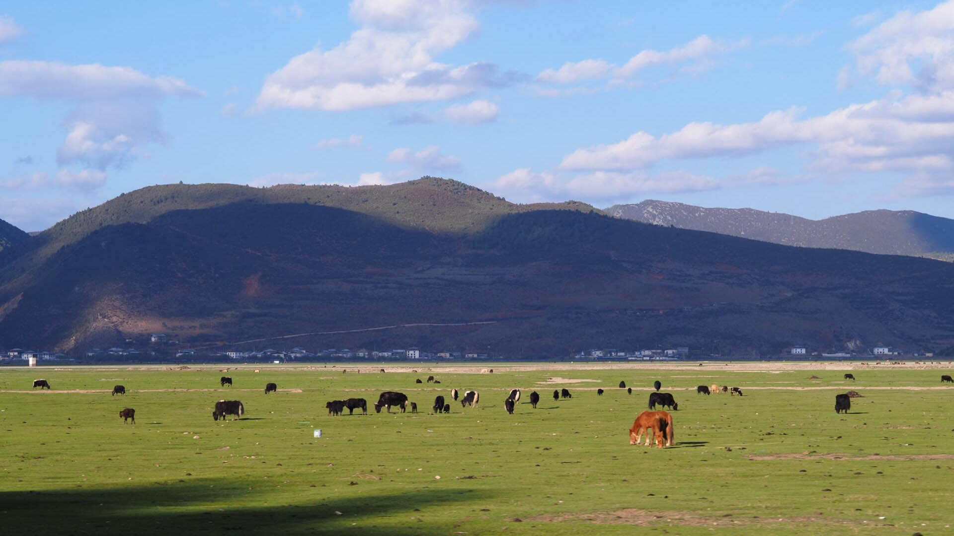 Shangri-la Napahai Nature Reserve