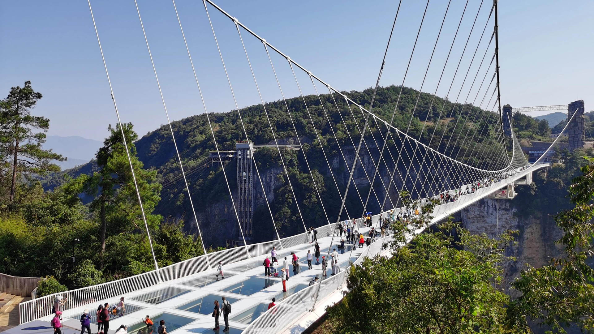 ZhangJiaJie Grand Canyon Glass Bridge