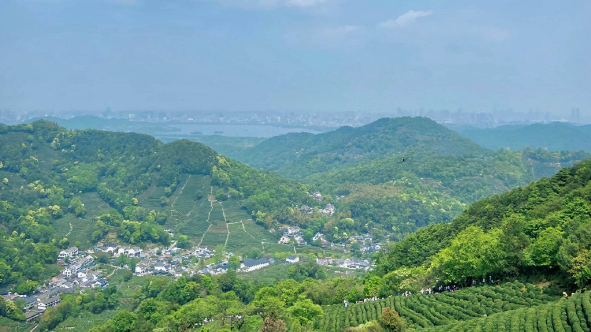 Hangzhou Temple + Tea Mountain Day Tour